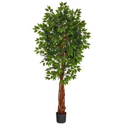 Photo 1 of 6.5’ Super Deluxe Ficus Artificial Tree with Natural Trunk
