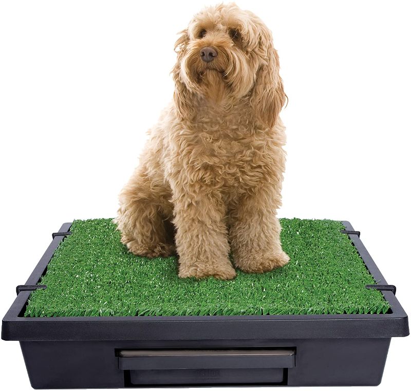 Photo 1 of PetSafe Pet Loo Portable Outdoor or Indoor Dog Potty - Dog Grass Pad with Tray - Alternative to Puppy Pads - Easy to Clean Dog Potty Grass, Absorbent Wee Sponge, Pee Pod - Small, Medium, Large
