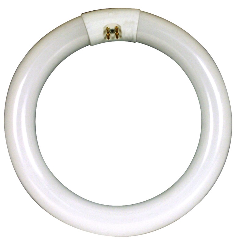 Photo 2 of 22-Watt 8 in. Linear T9 Fluorescent Tube Light Bulb Daylight Deluxe (6500K) Circline ($7.04 each x 4 = $28.28
Feit Electric FC8T9/CW Compact Fluorescent Circular Light Bulb ($8.99 x 4 =35.96)