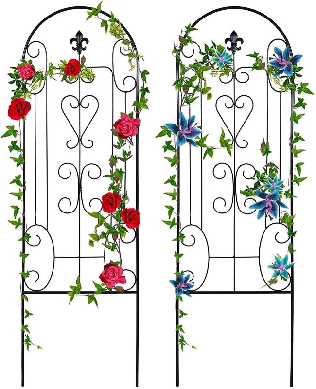 Photo 1 of Amagabeli 2 Pack Garden Trellis for Climbing Plants 60" x 18" Black Iron Potted Support Vines Metal Wire Plant Trellis for Climbing Vegetables Flower Patio Roses Cucumbers Clematis Pots Supports GT05
