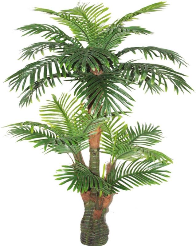 Photo 1 of AMERIQUE Gorgeous & Unique 5 Feet Tropical Palm Artificial Plant Silk Tree, Real Touch Technology, with UV Protection, Super Quality, 5', Green
