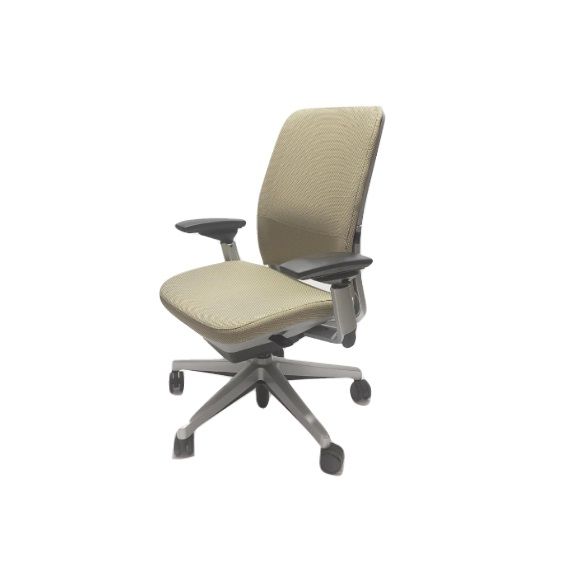 Photo 1 of Steelcase Amia Chair, All Features, Platinum, Beige, 4-Way Adjustable Arms, Adjustable Lumbar Support
