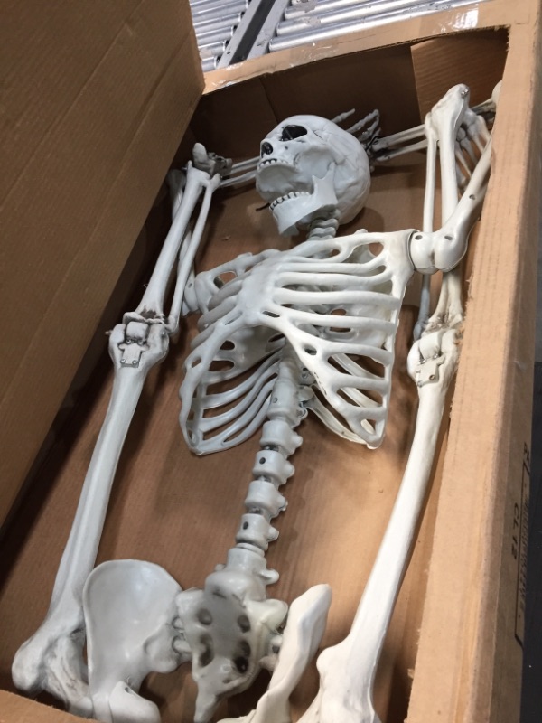 Photo 3 of 5 ft Pose-N-Stay Life Size Skeleton Full Body Realistic Human Bones with Posable Joints for Halloween Pose Skeleton Prop Decoration
