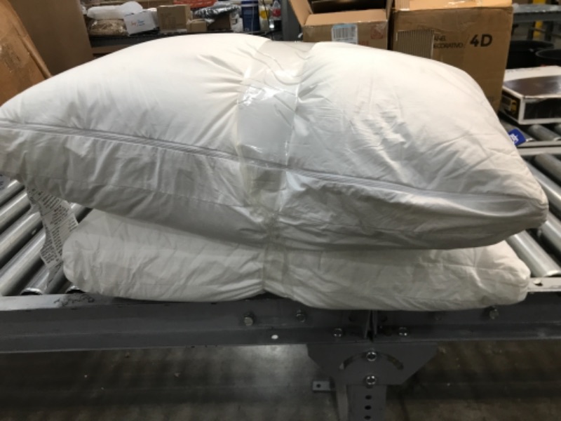 Photo 1 of Casper Sleep Pillow for Sleeping, Standard, White 2 Count

