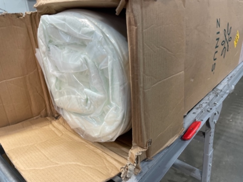 Photo 1 of Zinus 12 Inch Green Tea Memory Foam Mattress / CertiPUR-US Certified / Bed-in-a-Box / Pressure Relieving Full 75 x 54 x 12 inches
