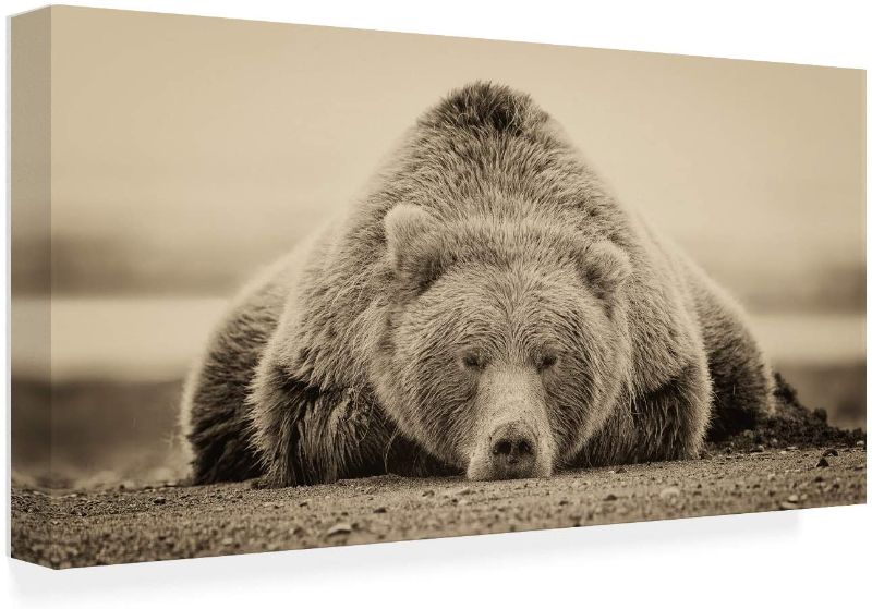 Photo 1 of 24"x47"- Trademark Fine Art Deep Sleep by PHBurchett, Black
