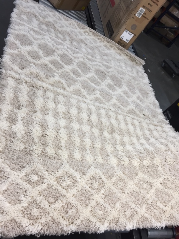 Photo 1 of surya 4x6 tan moroccan rug