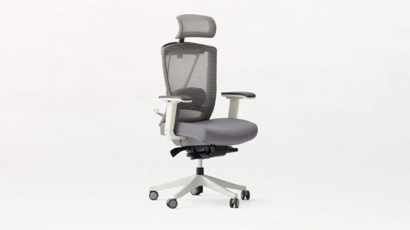 Photo 1 of Autonomous Ergo Chair 2 - Premium Ergonomic Office Chair - All Black Adjustable Chair (Cool Gray)
