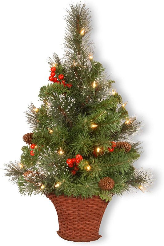 Photo 1 of National Tree Company Pre-Lit Artificial Mini Christmas Tree, Green, Crestwood Spruce, White Lights, Decorated with Pine Cones, Berry Clusters, Frosted Branches, Includes Wicker Base, 3 Feet
- Unable to test (Needs batteries) 