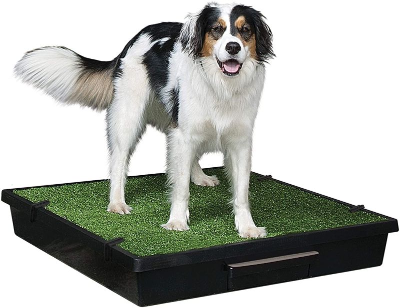 Photo 1 of Pet Loo Indoor Yard Training System, Large, Size: Large (33-Inch x 33-Inch), Green