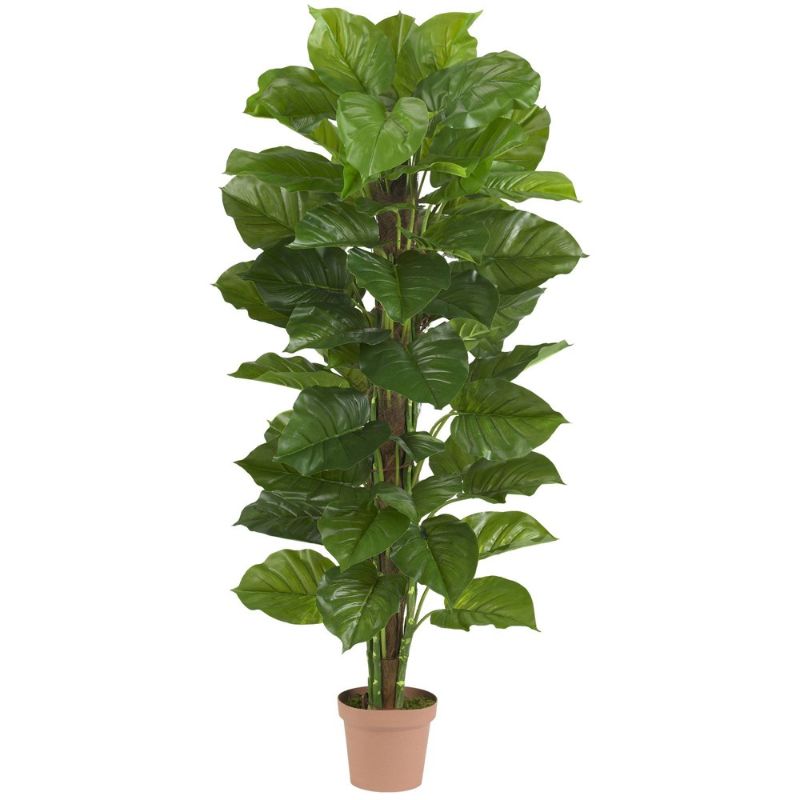 Photo 1 of 6594 63 in. Large Leaf Philodendron Silk Plant -Real Touch
