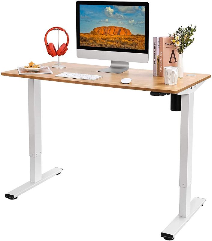 Photo 1 of Flexispot Standing Desk Height Adjustable Desk Electric Sit Stand Desk 48 x 24 Inches Home Office Desks (White Frame + Maple Top)
