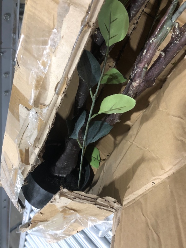 Photo 1 of BLOOMR Eucalyptus, Green, 5804-180, "h 70"""

