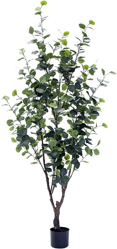 Photo 1 of BLOOMR Eucalyptus, Green, 5804-180, "h 70"""
