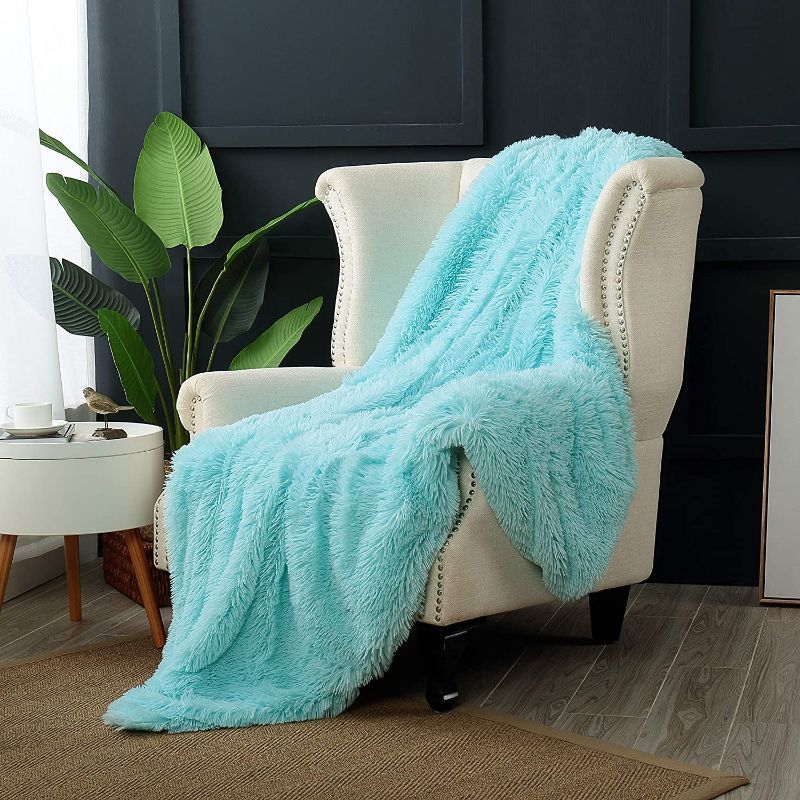 Photo 1 of Reafort Luxury Long Hair Shaggy PV Fur Faux Fur Oversized Throw Blanket (Light Blue, 60"X70" Throw)
