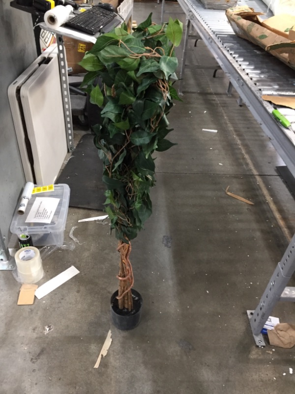 Photo 3 of 4ft Artificial Ficus Silk Tree in Pot - Nearly Natural