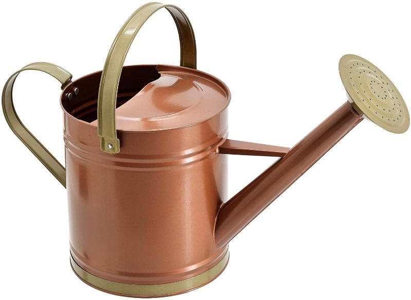 Photo 1 of 
Arcadia Garden Products WC13 Metal Watering Can, 1.3 gal, Classic Bronze
Size:1.3 gal
Color:Classic Bronze