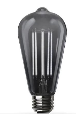 Photo 1 of 40-Watt Equivalent ST19 Dimmable Straight Filament Smoke Glass Vintage Edison LED Light Bulb, Daylight
4 PKS