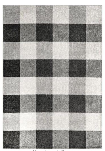 Photo 1 of Aisha Buffalo Plaid Gray 5 ft. x 8 ft. Area Rug
