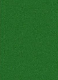 Photo 1 of Artificial Grass Green 6 ft. x 9 ft. Indoor/Outdoor Area Rug
