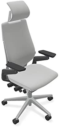 Photo 1 of Steelcase Gesture Office Desk Task Chair with Headrest Cogent Connect Nickel Fabric Platinum Light Frame (Light/Light)
