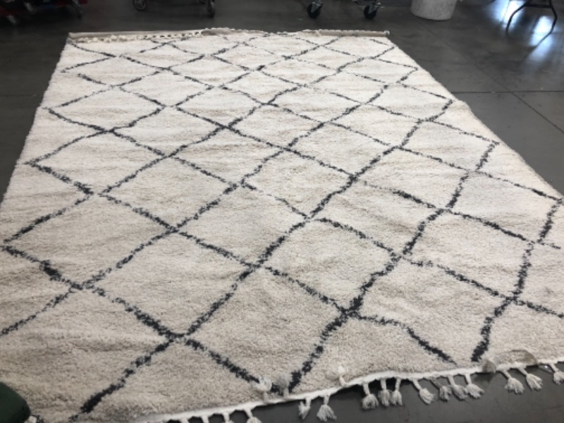 Photo 1 of 10FT X 12FT 10INCH White and Grey Rug 