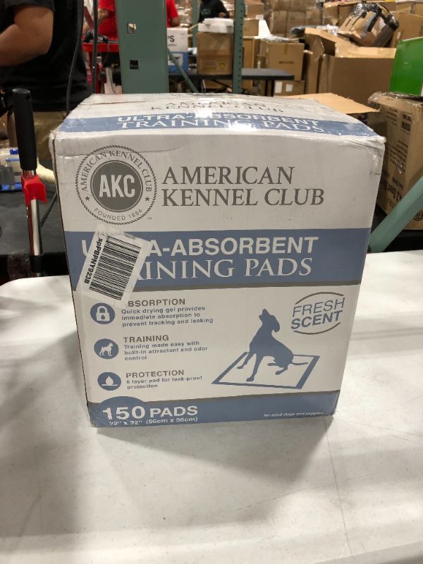 Photo 2 of American Kennel Club Training Pads 150/Pkg