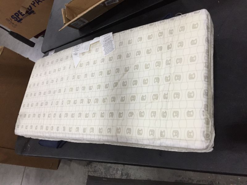 Photo 1 of 42x18x3 inch mattress