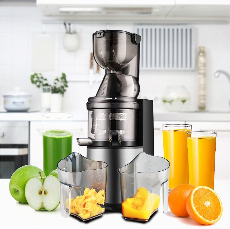 Photo 1 of Flexzion Cold Press Juicer Machine, Slow Masticating Juicer Extractor with Quiet Motor, Reverse Function, Easy to Clean Brush, Recipe, More Juice Yield Drier Pulp Fresh Healthy Fruit Vegetable Juicer