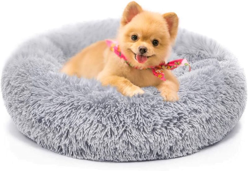 Photo 1 of Calming Dog Beds for Small Size Dog