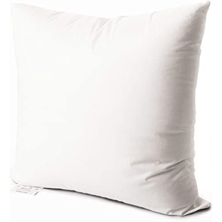 Photo 1 of Edow Throw Pillow Insert, Lightweight Soft Polyester Down Alternative Decorative Pillow,Sham Stuffer,Machine Washable. (White, 26x26)