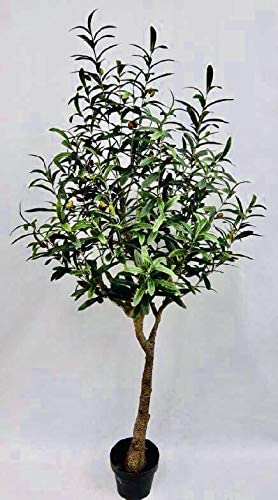 Photo 1 of AMERIQUE 5 Feet Gorgeous & Lifelike Olive Tree Artificial Plant with Fruits, in Nursery Pot, Real Touch Technology, 704 Leaves, Green

