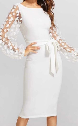 Photo 1 of SHEIN 3D Applique Mesh Sleeve Self Tie Dress