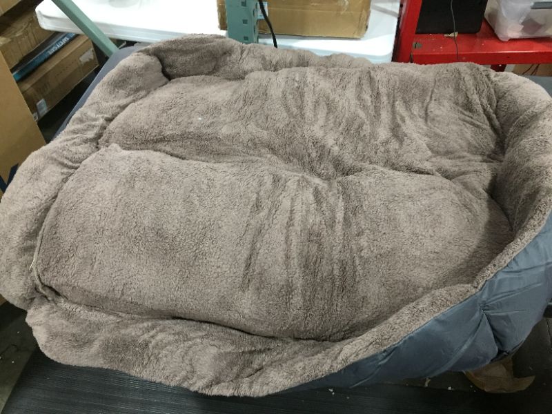 Photo 1 of DOG BED 