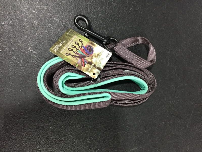 Photo 1 of amazon dog leash green and grey