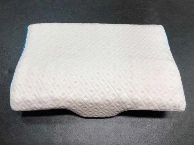 Photo 1 of 22x14 inch Memory Foam Pillow