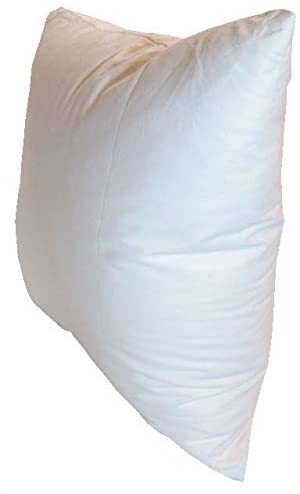 Photo 1 of 14x20 Inch Pillowflex  Pillow Form Insert  Machine Washable  Oblong Rectangle  Made in USA