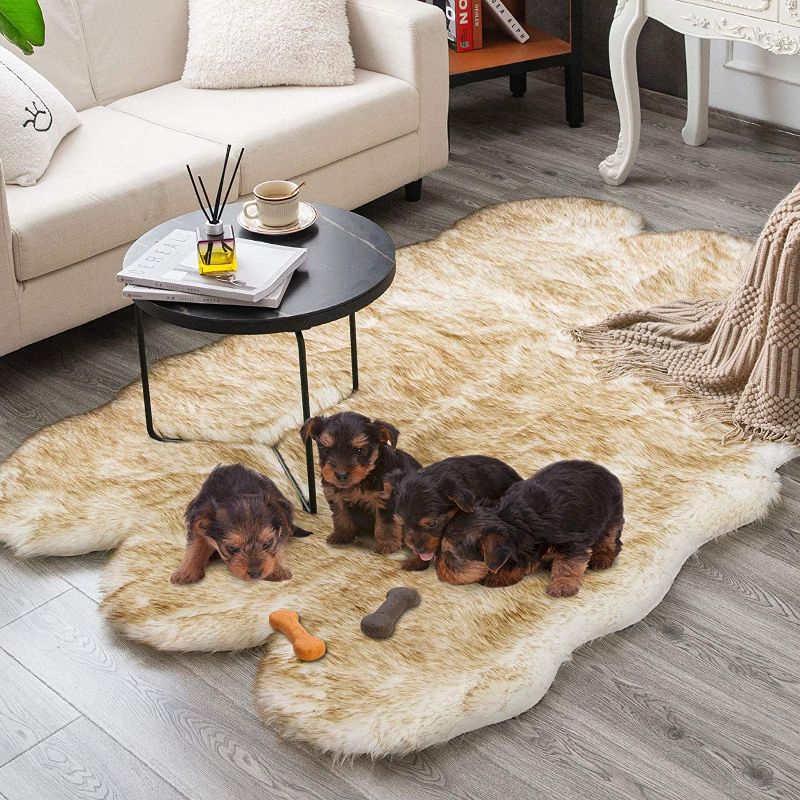 Photo 1 of Carvapet Soft Fluffy Rugs Faux Fur Sheepskin Area Rug for Bedroom Floor Mat Carpet for Living Room Nursery 4 x 6 Feet,White with Brown Tips
