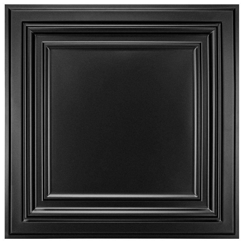 Photo 1 of Art3d PVC Ceiling Tiles, 2'x2' Plastic Sheet in Black (12-Pack)
