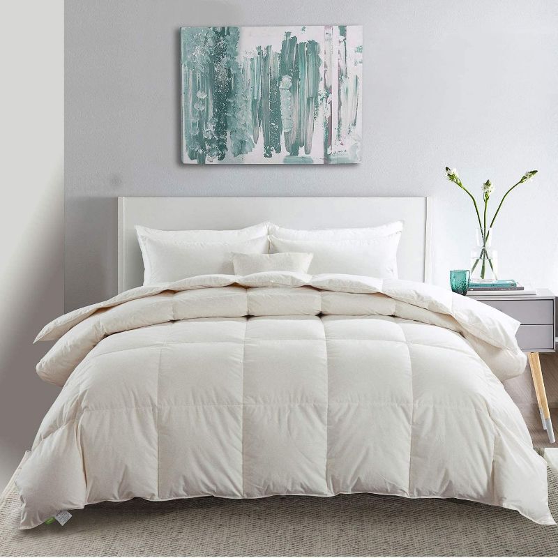 Photo 1 of APSMILE Lightweight Goose Down Comforter Full/Queen, Thin All-Season Down Duvet - Organic Cotton, 33oz Light Warm Quilt Cooling Bed Comforter Insert for Warm Weather/Hot Sleepers (90x90, Ivory White)