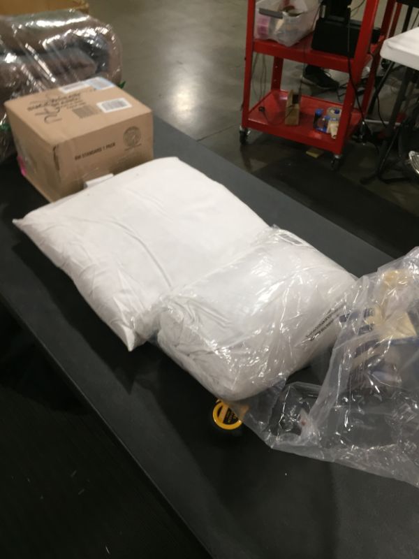 Photo 1 of 18" x 18" Pillow Filling Two Pack