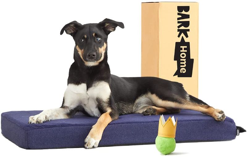 Photo 1 of Barkbox Memory Foam Platform Dog Bed, Plush Mattress for Orthopedic Joint Relief, UNKNOWN SIZE 
