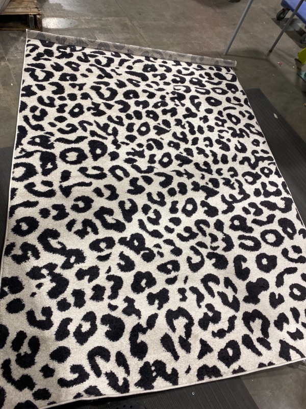 Photo 1 of 60"x88" zebra print rug