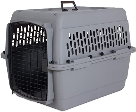 Photo 1 of Aspen Pet Traditional Dog & Cat Carrier, Light Gray
