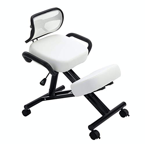 Photo 1 of Beautiful Ergonomic Kneeling Chair with Leather Cushions, Back Support, Pneumatic Height Adjustment, Side Handles, Back Pain Relief, Home & Office , Stork