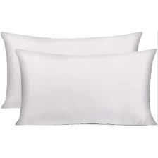 Photo 1 of 12 x 20 pillow insert, two pack