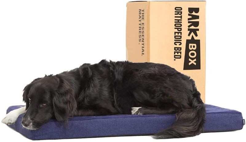 Photo 1 of Barkbox Memory Foam Platform Dog Bed