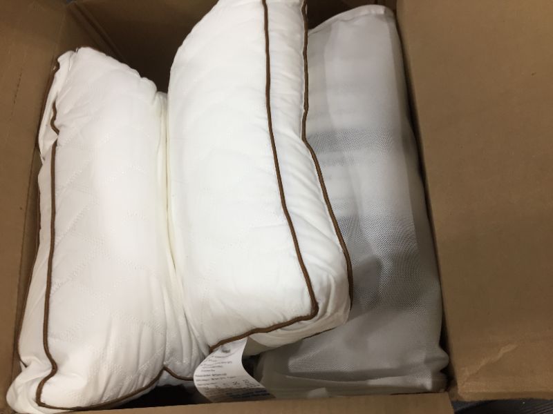 Photo 2 of Beegod Pillows Soybean Feather Fabric (2 pack)