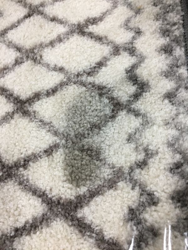 Photo 2 of 2FT 6IN X 3FT 9IN AREA RUG 