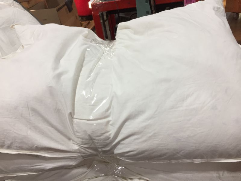 Photo 1 of 2pk of white pillows 